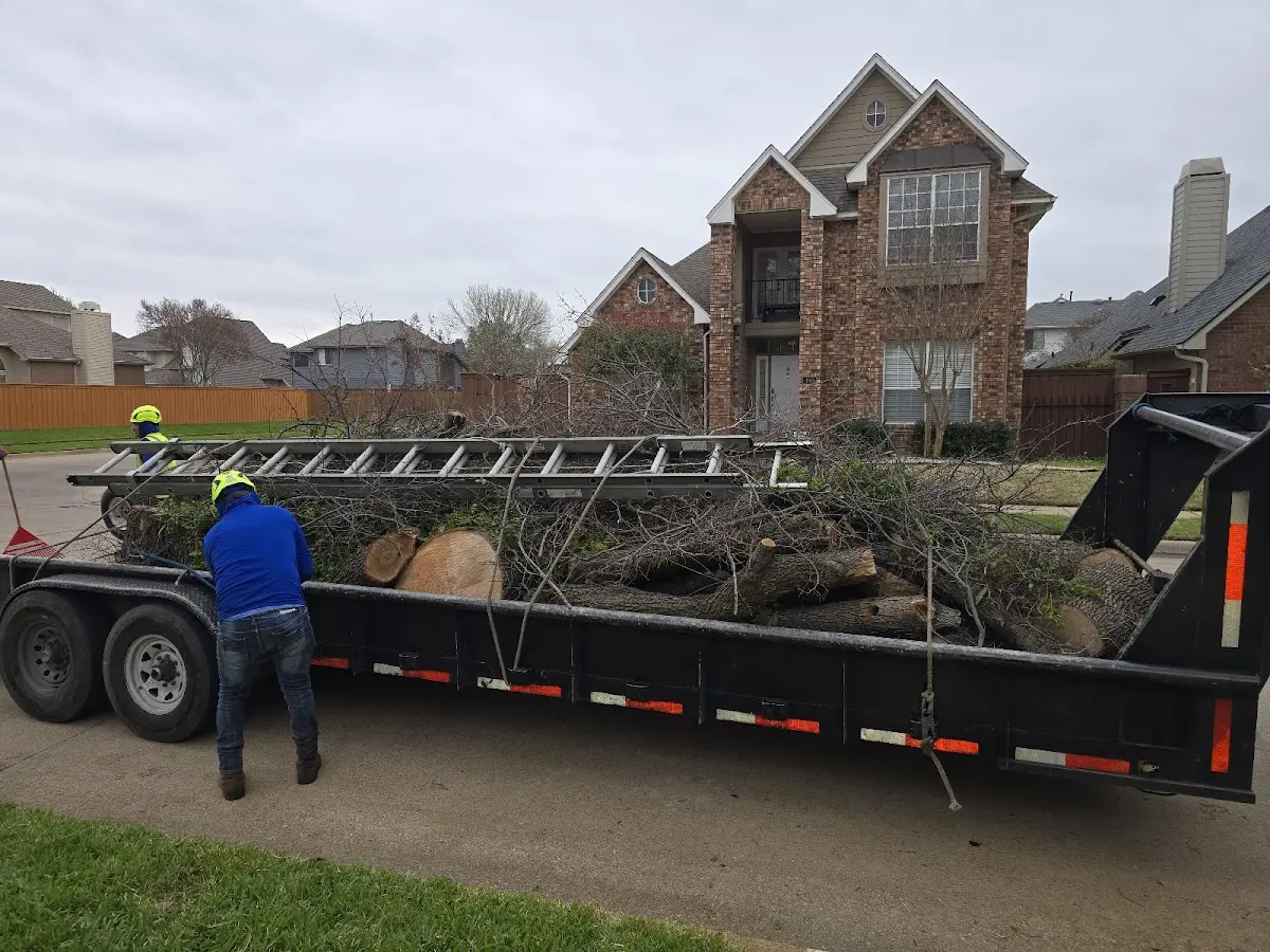 Expert Tree Removal with proper safety equipment in West Palm Beach